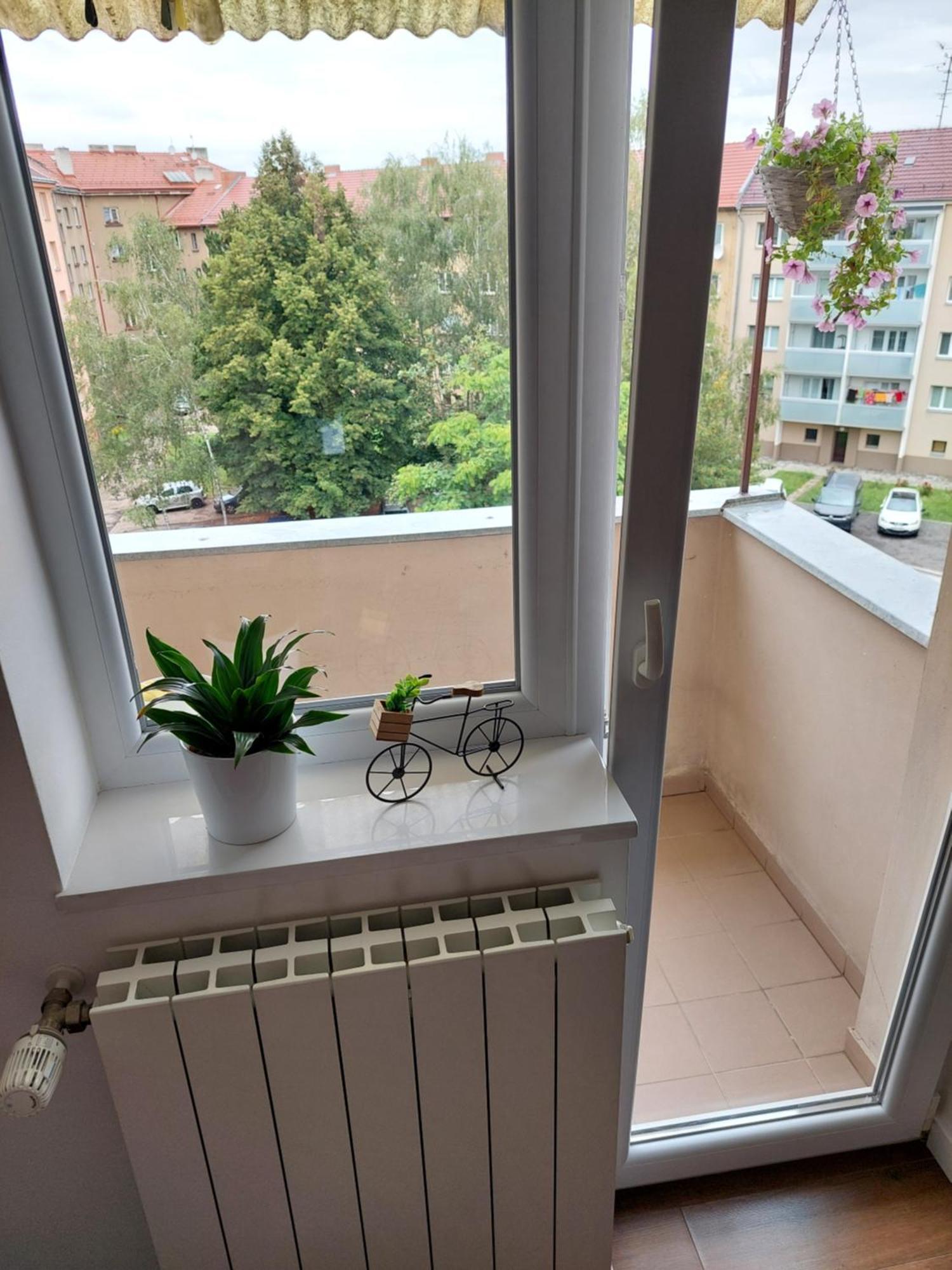 B&B Resslova Hradec Králové Dış mekan fotoğraf